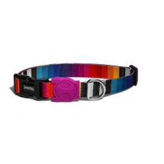 Collar para Perro Zeedog Prisma Medium - MiMaskotica | Tienda para Mascotas