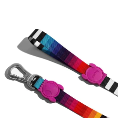 Correa para Perro Prisma Leash Zeedog Small - comprar en línea