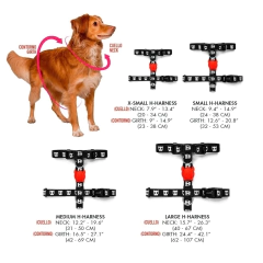 Arnes para Perro Zeedog Honey H-Harness Extra Small en internet