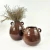 Vaso Decorativo Marrom Com Alça Kit 2pc - Inigual - Loja de Decoração, Plantas Artificiais, Presentes, Utilidades, Mesa Posta e decoração de Páscoa e Natal