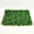 Placa De Grama Roma 60x40cm Jardim Vertical Artificial - Inigual Decor: Decoração, Plantas Artificiais e Presentes Online