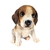 Escultura De Cachorro Beagle Filhote Decorativo Pet Decor