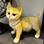 Gato Caramelo Decorativo Pet Decor Escultura - comprar online