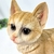 Gato Caramelo Decorativo Pet Decor Escultura - Inigual - Loja de Decoração, Plantas Artificiais, Presentes, Utilidades, Mesa Posta e decoração de Páscoa e Natal