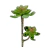 Planta Suculenta 27x15cm Planta Artificial