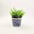 Imagem do Vaso Decorativo Azul E Branco Grego Cactus 9x10cm P