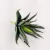 Suculenta Haworthia Agave Planta Artificial Permanente 14cm na internet