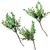 Planta Artificial Pick Bolinha Verde 22x10cm Páscoa Kit 3pc
