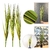 Capim Verde Folhagem 110X10cm Planta Artificial Kit 3pc