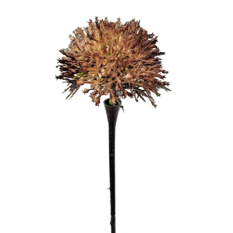 Protea Marrom Haste 40x6cm Planta Artificial Permanente