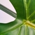 Folha Verde Tropical Planta Artificial 97x30cm Toque Real - loja online