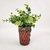 Vasinho Castiçal Rubi Bronze 10x7x7cm Vaso Decoração - comprar online
