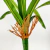 Folha De Orquídea Com Raiz 42x37cm Planta Artificial - loja online