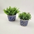 Vaso Decorativo Azul E Branco Grego Cactus 13/10cm Kit 2pc - loja online