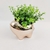 Vaso Decorativo Cachepot Gato Cobre Rose Gold 9x12x9cm - Inigual - Loja de Decoração, Plantas Artificiais, Presentes, Utilidades, Mesa Posta e decoração de Páscoa e Natal