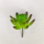 Folhagem Suculenta Hookeril 9x7x7cm Planta Artificial - comprar online