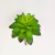 Planta Artificial Suculenta Agave Verde 17x9cm Permanente - comprar online