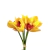 Orquídea Amarela Maço Planta Artificial 24x15cm Silicone - comprar online