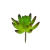 Folhagem Suculenta Hookeril 9x7x7cm Planta Artificial