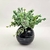 Planta Artificial Pick Bolinha Verde 22x10cm Páscoa Kit 3pc - loja online