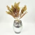 Capim Dos Pampas Com Flor Bege 34cm Planta Artificial - comprar online