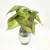 Planta Artificial Caladium Verde 26cm Jardim Permanente na internet