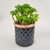 Vaso Preto E Cobre Zamac Bristol 7x7x7cm Cachepot Vidro - Inigual - Loja de Decoração, Plantas Artificiais, Presentes, Utilidades, Mesa Posta e decoração de Páscoa e Natal