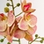 Orquídea Salmão Haste 50x15cm Planta Artificial Toque Real - Inigual - Loja de Decoração, Plantas Artificiais, Presentes, Utilidades, Mesa Posta e decoração de Páscoa e Natal
