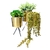 Vaso Dourado Com Suporte Metal Kit 3pc Com Planta - comprar online