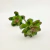 Planta Suculenta 27x15cm Planta Artificial - comprar online