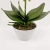 Orquídea Laranja Arranjo Com Vaso 46x19cm Planta Artificial - Inigual Decor: Decoração, Presentes e Plantas Artificiais.