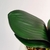 Orquídea Vermelha 3D 47x12x10cm Planta Artificial Toque Real - Inigual - Loja de Decoração, Plantas Artificiais, Presentes, Utilidades, Mesa Posta e decoração de Páscoa e Natal