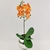Orquídea Laranja Haste 50x15cm Planta Artificial Toque Real - Inigual - Loja de Decoração, Plantas Artificiais, Presentes, Utilidades, Mesa Posta e decoração de Páscoa e Natal