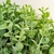 Pick Mini Eucalipto Buquê 25x18x10cm Planta Artificial - Inigual - Loja de Decoração, Plantas Artificiais, Presentes, Utilidades, Mesa Posta e decoração de Páscoa e Natal