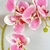 Orquídea Rosa 3D 68x13cm Planta Artificial Toque Real - Inigual - Loja de Decoração, Plantas Artificiais, Presentes, Utilidades, Mesa Posta e decoração de Páscoa e Natal