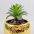 Planta Artificial Suculenta Agave Verde 17x9cm Permanente - loja online