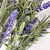 Flor Lavanda Lilás 46x10cm Buquê Planta Artificial Kit 3pc - Inigual Decor: Decoração, Plantas Artificiais e Presentes Online
