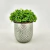 Pick Trevo Verde 20x16x12cm Planta Artificial Folhagem - loja online