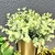 Vaso Dourado Com Suporte Metal Kit 3pc Com Planta na internet