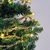 Fio De Fada Led Com Folhagem 5m 50 Leds Bco Quente Pilha - loja online
