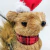 Esquilo em Palha com Gorro Enfeite Decorativo de Natal 16x9x11cm P - loja online