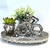 Imagem do Kit Decoração Bandeja + Escultura + 2 Vasos Com Planta