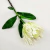 Nix Branca Haste 42x9cm Planta Artificial Flor Permanente - Inigual - Loja de Decoração, Plantas Artificiais, Presentes, Utilidades, Mesa Posta e decoração de Páscoa e Natal
