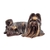 Escultura Cachorro Yorkshire Pet Decor 9x16x9cm Decorativo