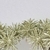 Pick Dente De Leão Champanhe Glitter 13x8cm Natal Kit 3pc na internet