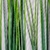 Capim Verde Folhagem 112X7cm Planta Artificial Kit 5pc - comprar online