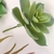 Kit Suculenta 6pç Planta Artificial Permanente Flor P