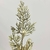 Folhagem De Natal Pick Prata Com Flor 25x8x8cm Glitter - loja online
