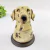 Potiche Pet Pote Decorativo Cachorro Dalmata 17x12cm Decor - comprar online