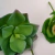 Kit Suculenta 6pç Planta Artificial Permanente Flor P - loja online